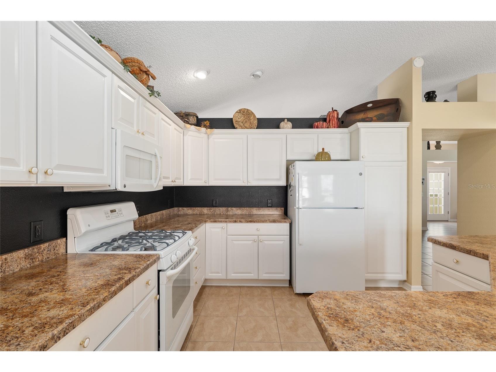 977 Caribou Way The Villages FL 32162 G5108540 image24