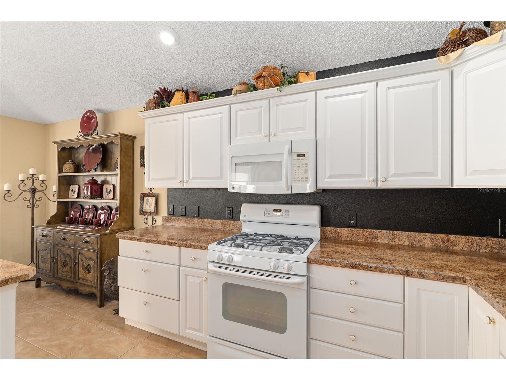 977 Caribou Way The Villages FL 32162 G5108540 image26
