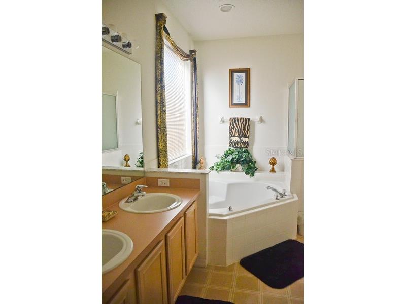 977 Lake Berkley Drive Kissimmee FL 34746 - LAKE BERKLEY S5138478 image8