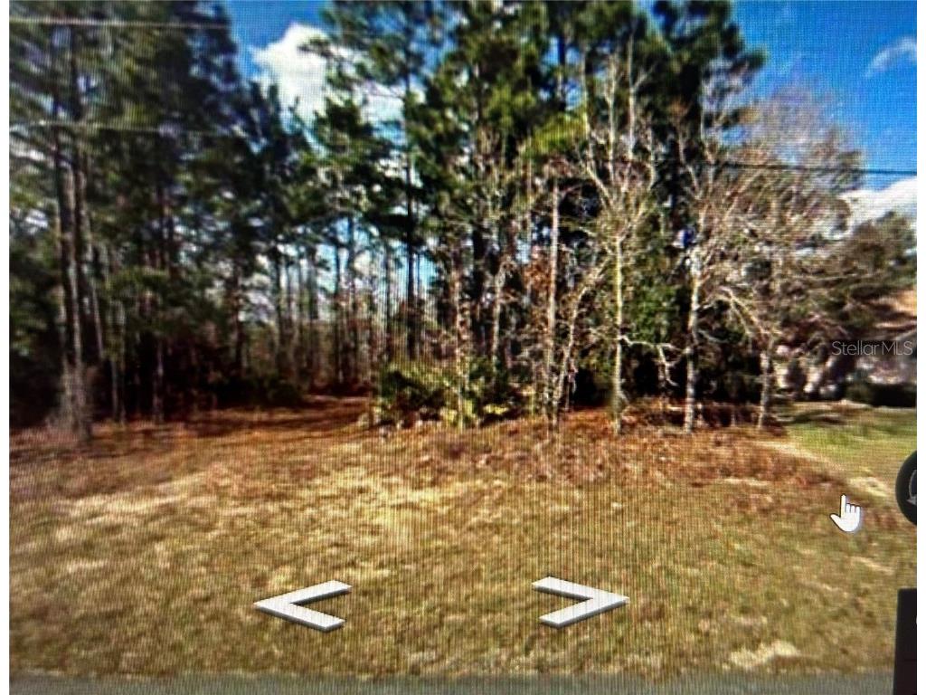 977 W Anderson Lane Citrus Springs FL 34434 O6097751 image1