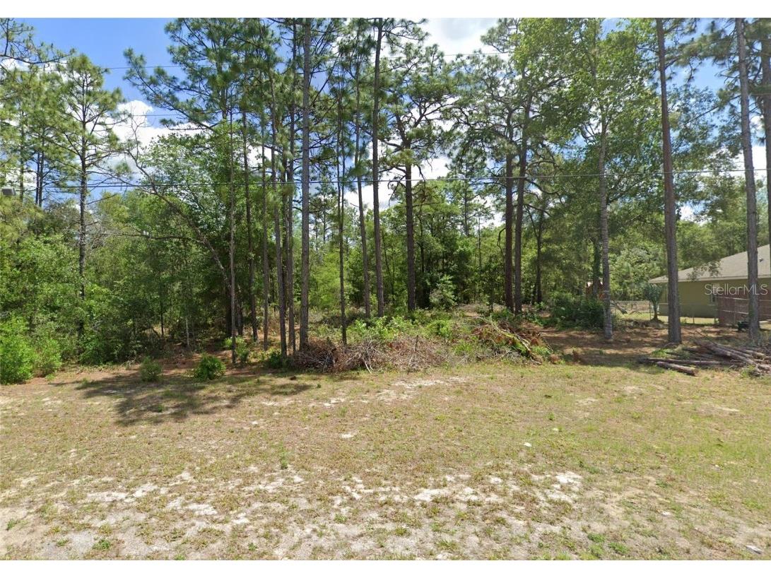 9771 N Mitchelle Drive Citrus Springs FL 34434 W7873535 image1