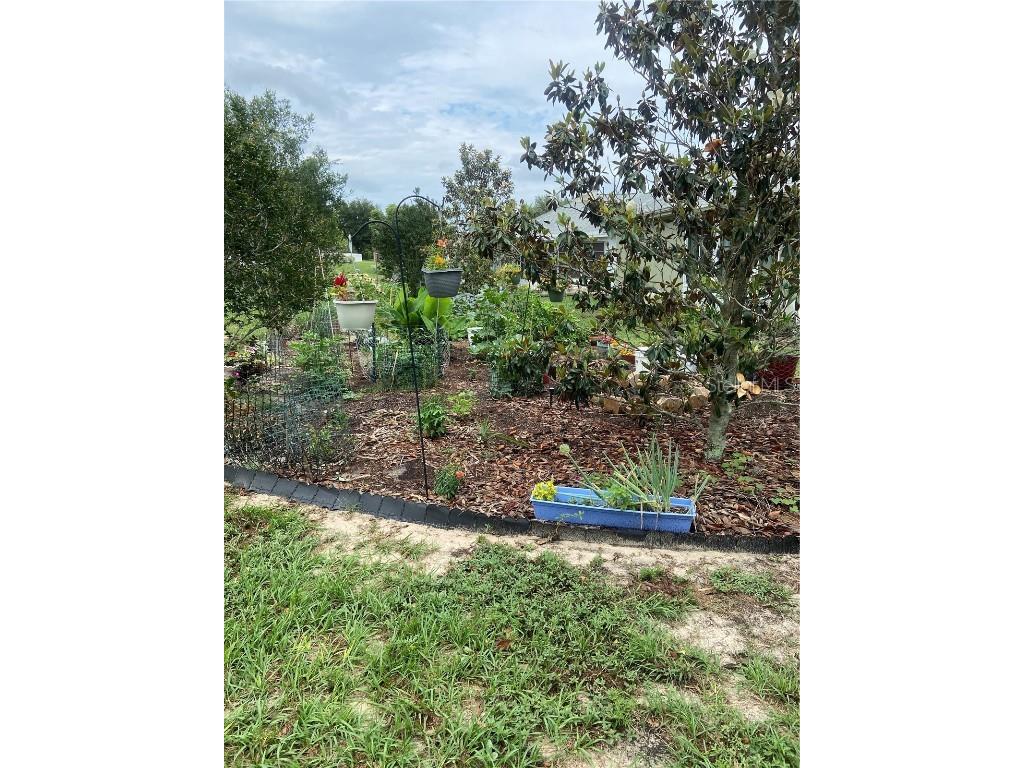 9771 SW 97th Lane Ocala FL 34481 OM705069 image10