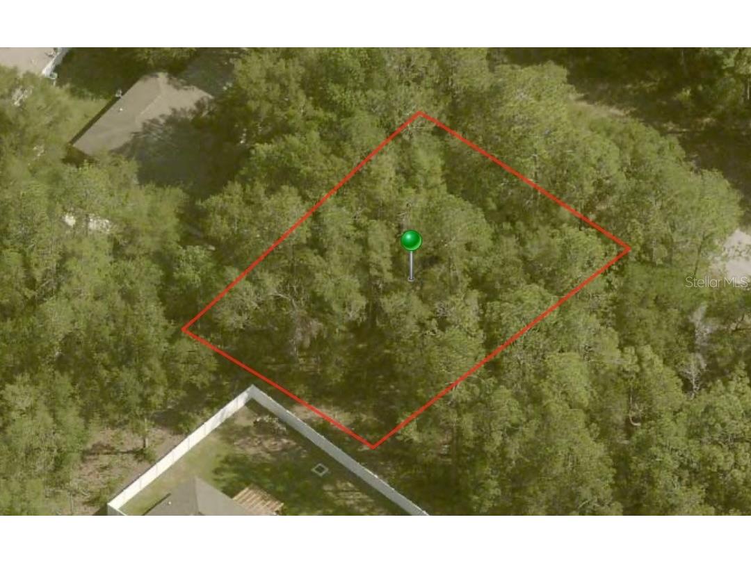 9772 N Loretta Way Citrus Springs FL 34434 A4600391 image1