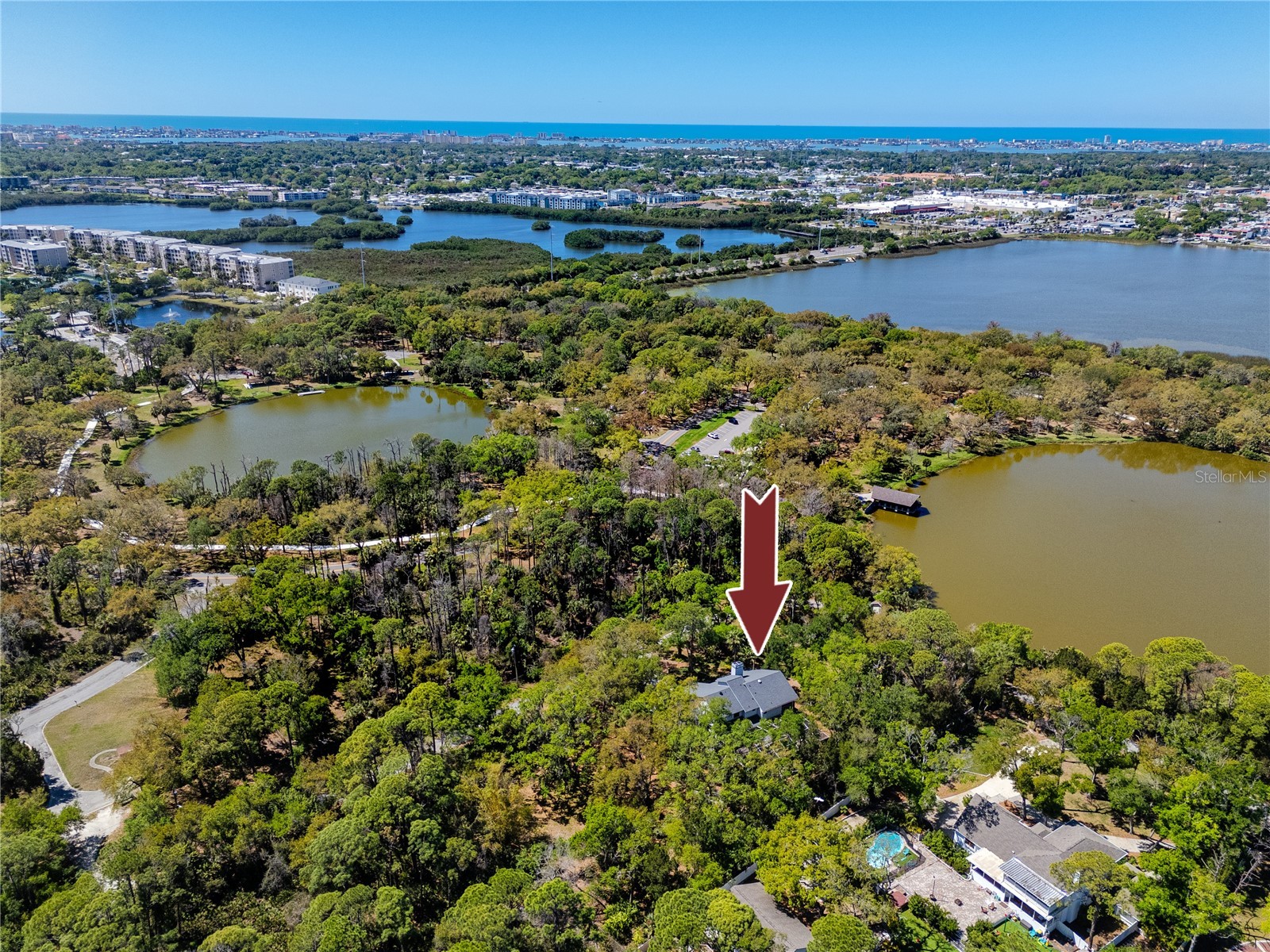 9775 78th Avenue Seminole FL 33777 TB8491331 image72