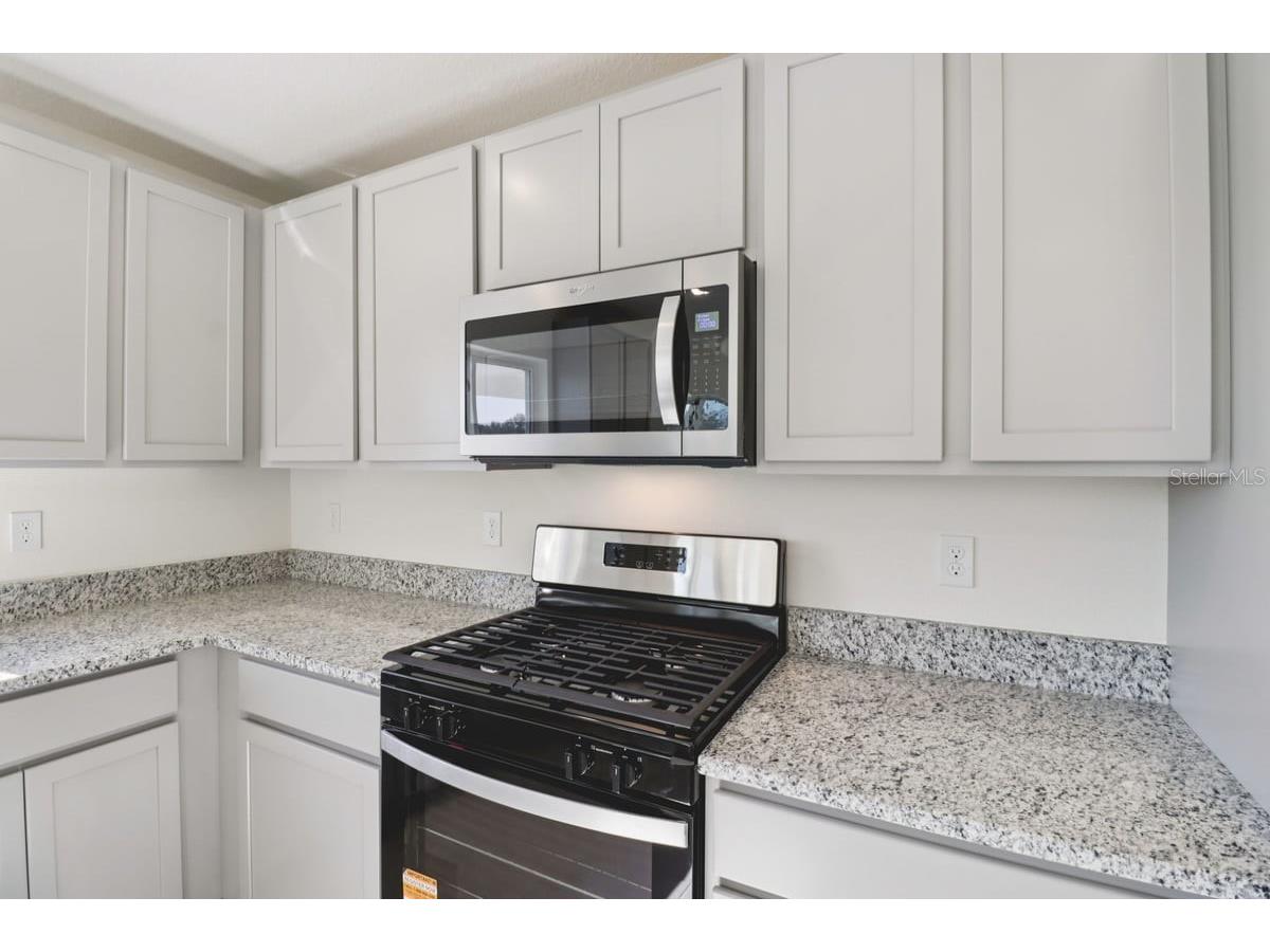 9775 Carson Way Leesburg FL 34788 O6415866 image3
