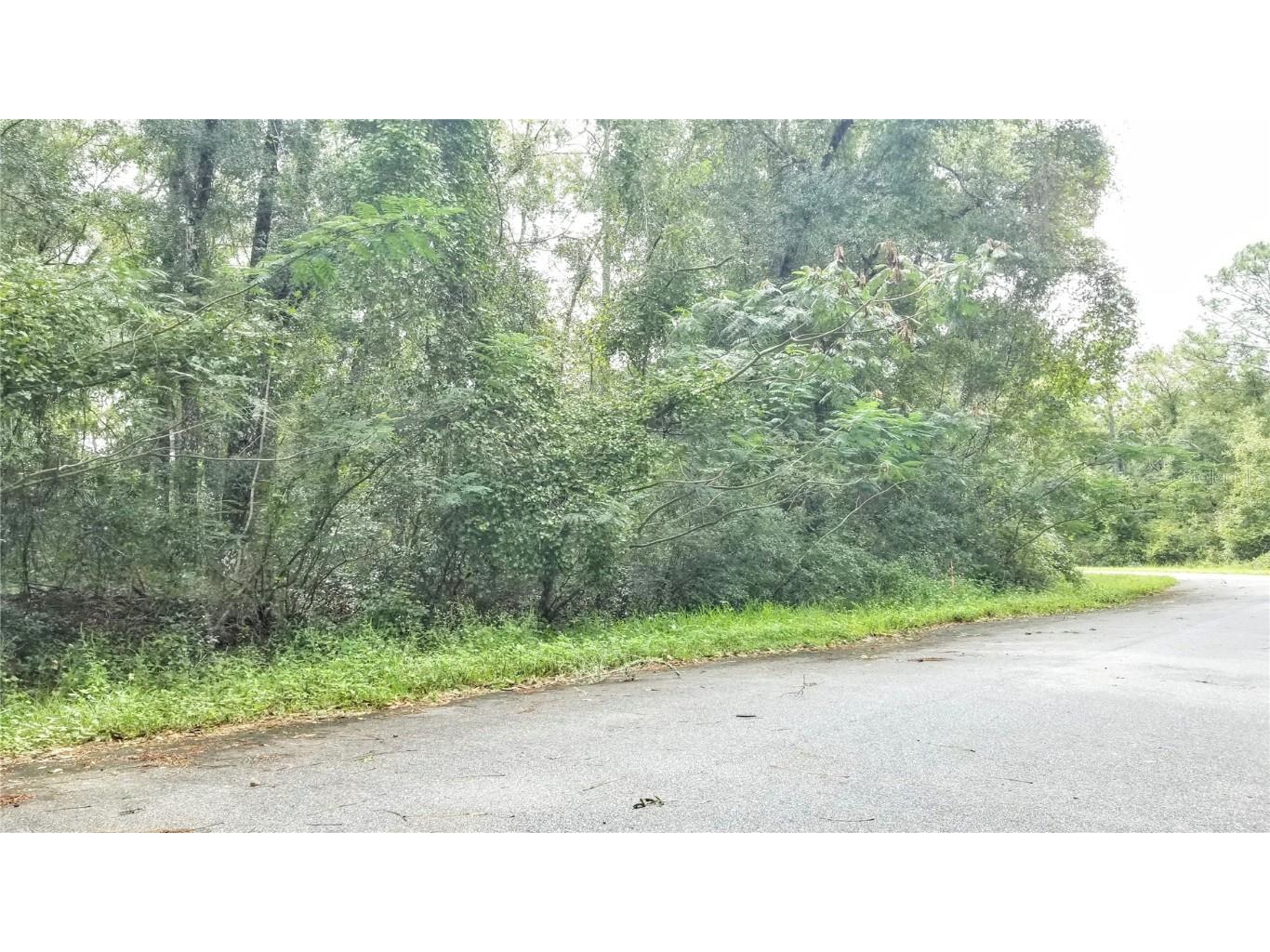 9775 N Dearing Loop Citrus Springs FL 34434 OM701939 image1