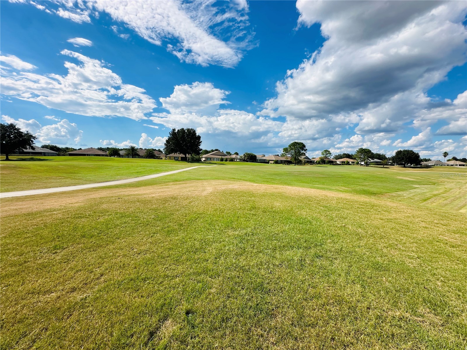 9775 SW 92nd Street Ocala FL 34481 OM710518 image34