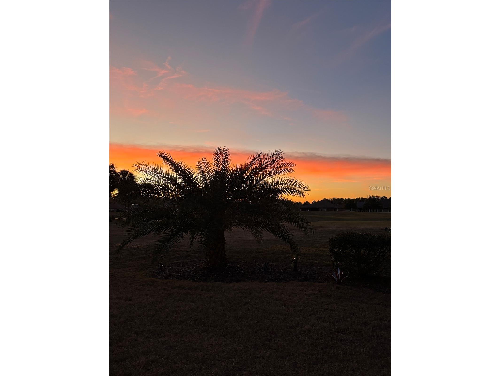 9775 SW 92nd Street Ocala FL 34481 OM710518 image35