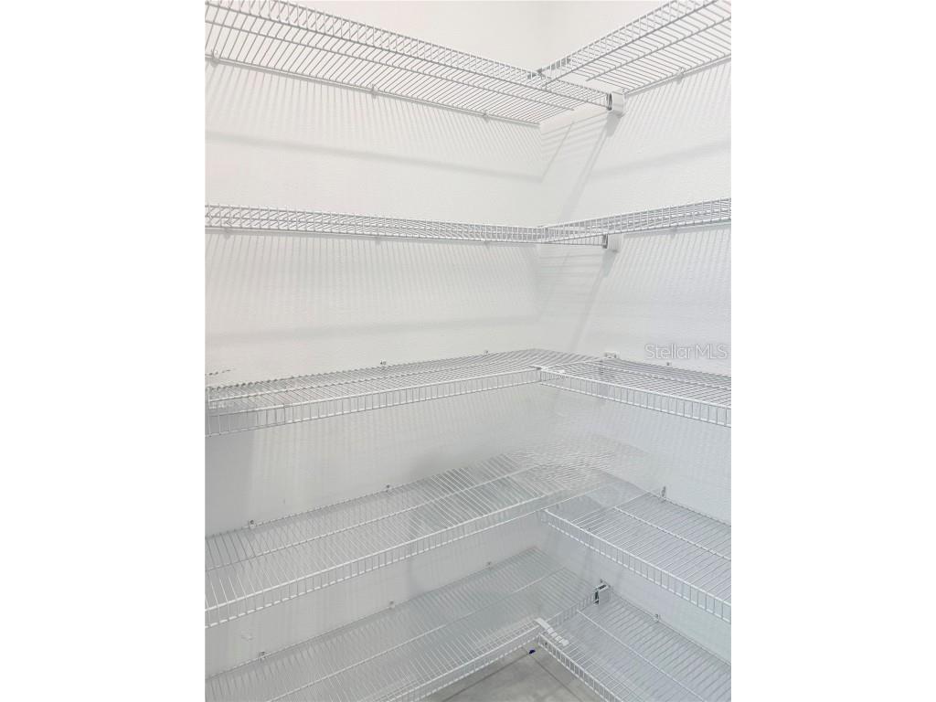 9776 Branching Ship Trace Wesley Chapel FL 33545 TB8435491 image11