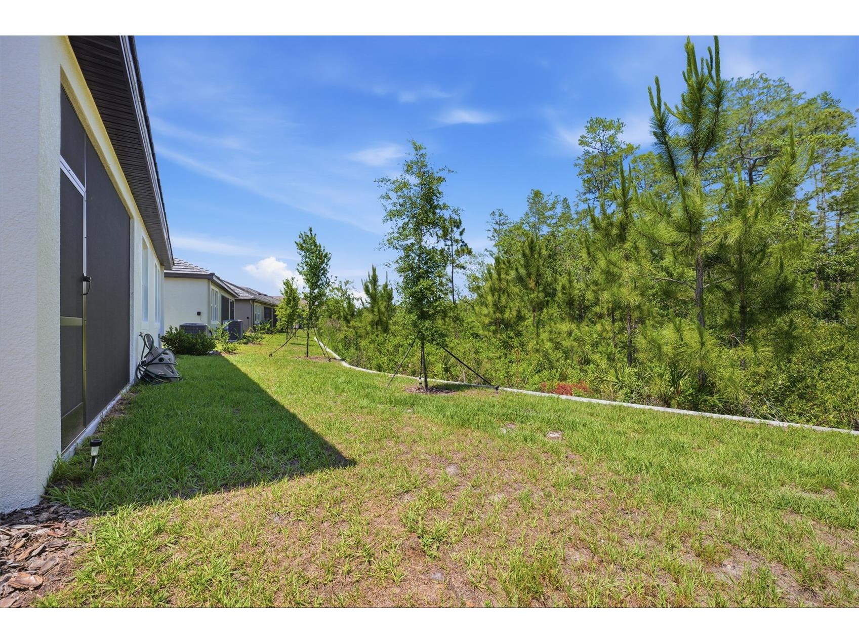 9776 Minnow Ray Drive Land O Lakes FL 34638 W7885888 image26