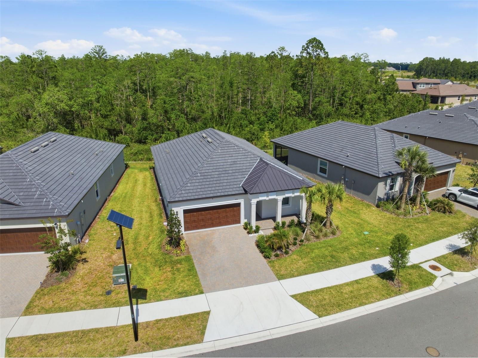 9776 Minnow Ray Drive Land O Lakes FL 34638 W7885888 image29