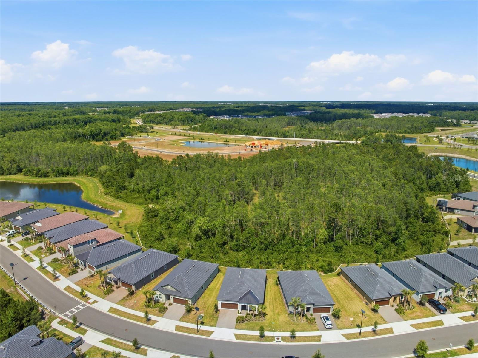 9776 Minnow Ray Drive Land O Lakes FL 34638 W7885888 image30