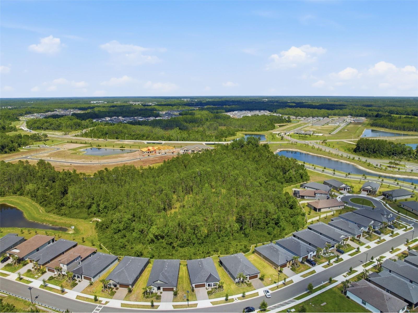 9776 Minnow Ray Drive Land O Lakes FL 34638 W7885888 image32