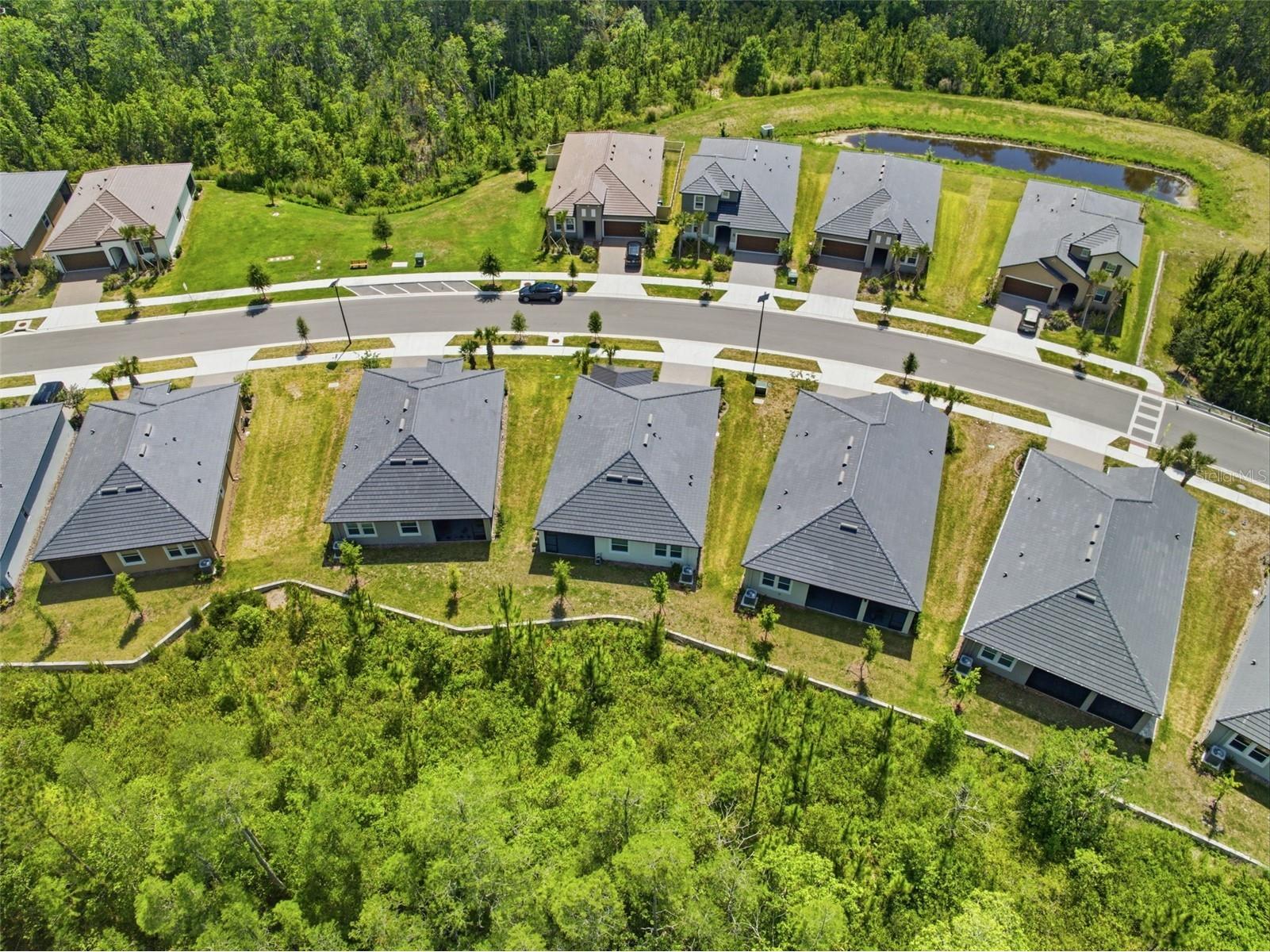 9776 Minnow Ray Drive Land O Lakes FL 34638 W7885888 image33