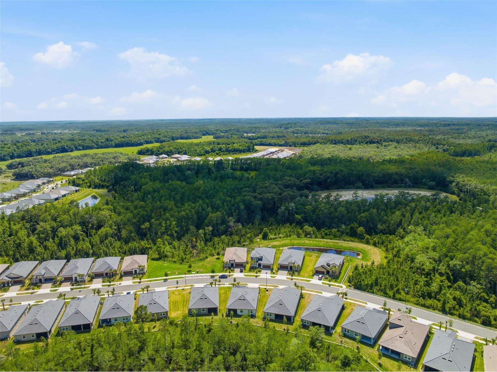 9776 Minnow Ray Drive Land O Lakes FL 34638 W7885888 image36
