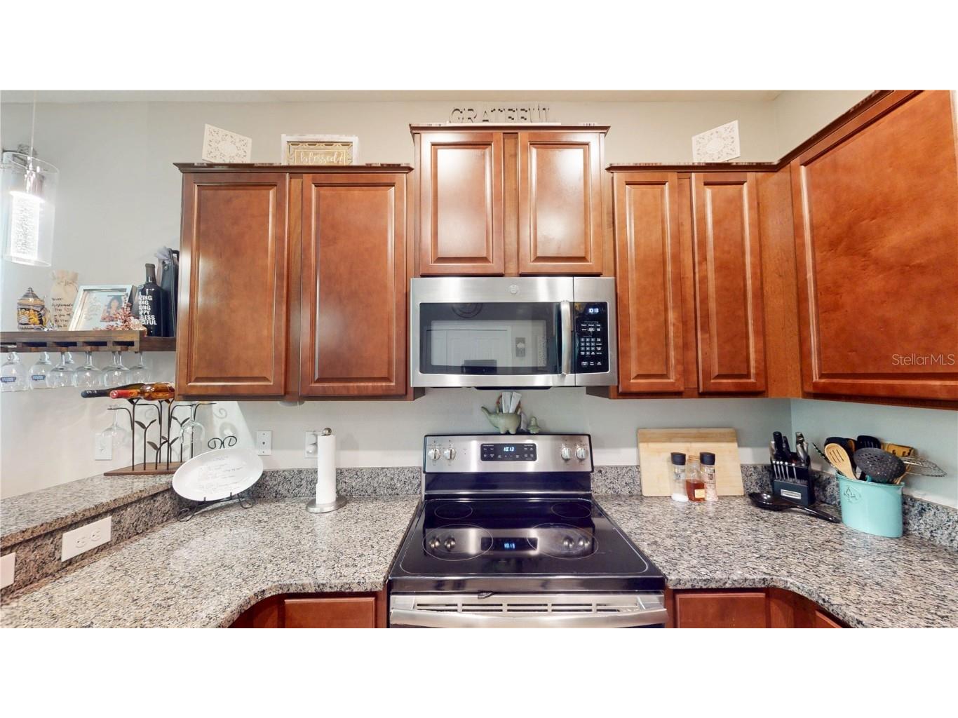 9776 Pembrooke Pines Drive Sun City Center FL 33573 TB8453732 image19