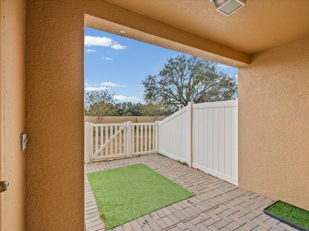 9779 Trumpet Vine Loop Trinity FL 34655 TB8454448 image27