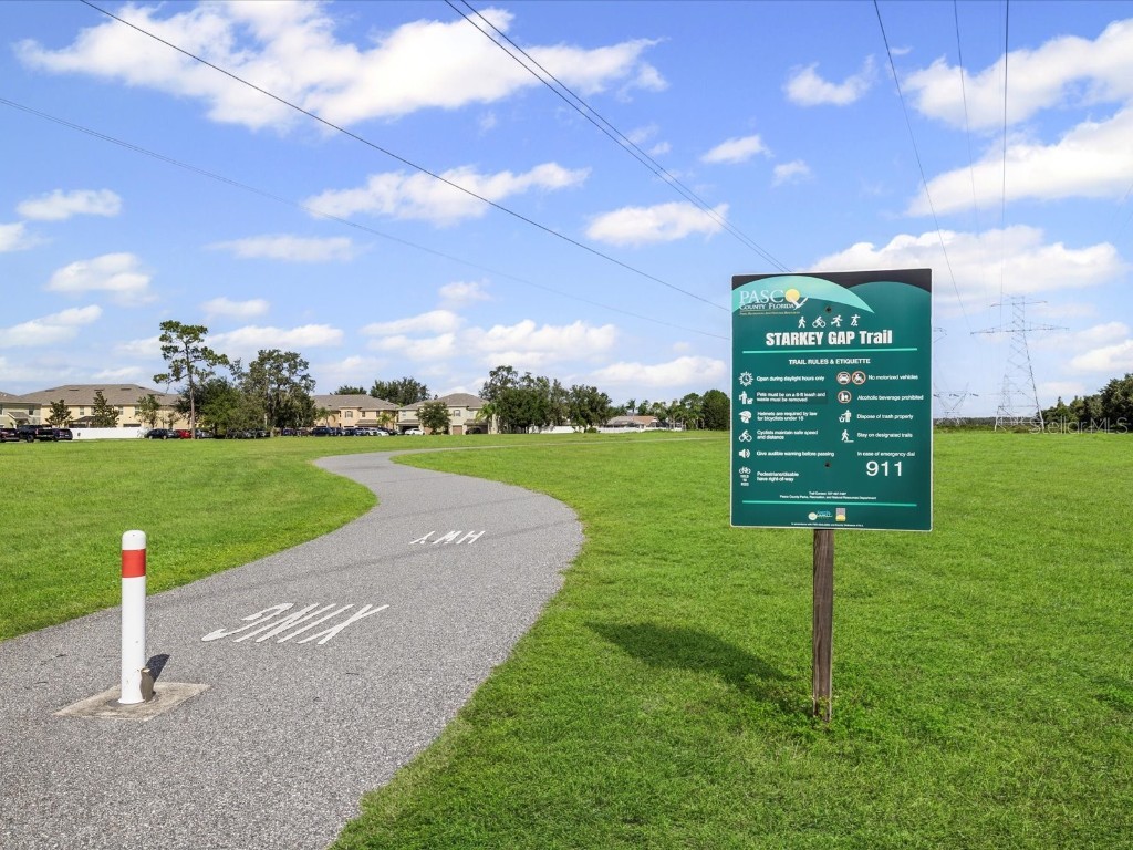 9779 Trumpet Vine Loop Trinity FL 34655 TB8454448 image32