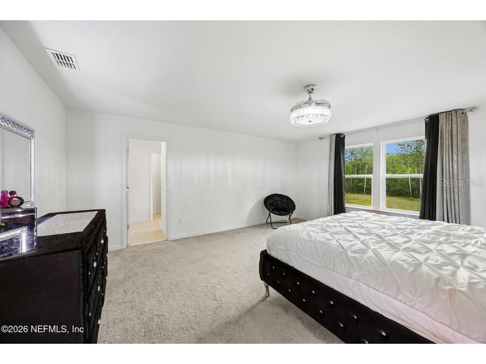 978 Rooster Hollow Way Middleburg FL 32068 O6406410 image21