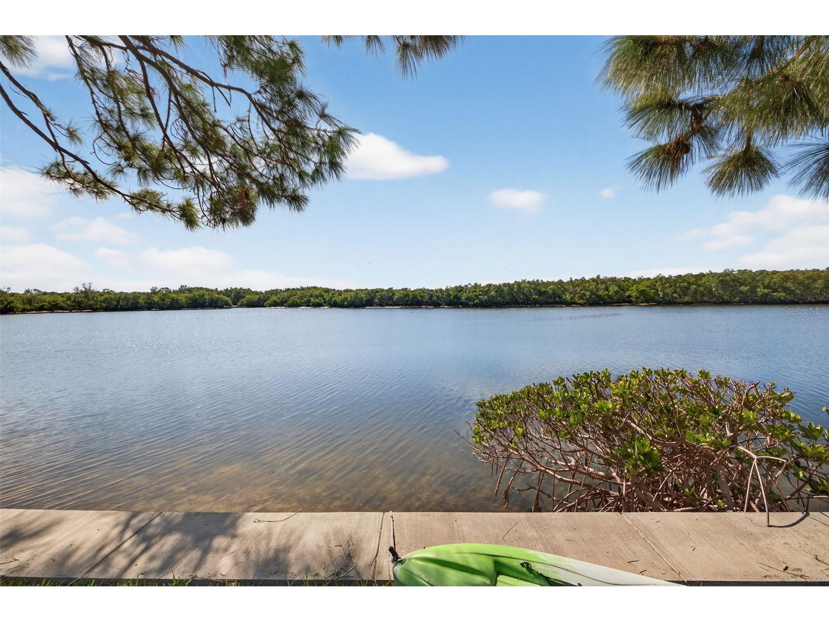 978 San Carlos Court NE Saint Petersburg FL 33702 TB8466906 image46