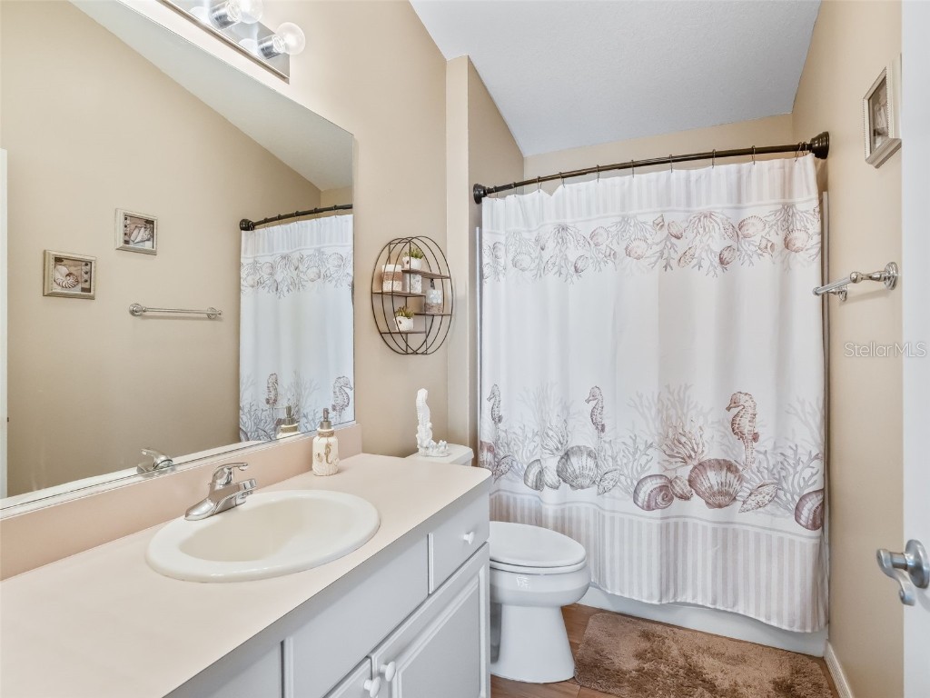 978 Smyrna Street The Villages FL 32162 TB8449535 image28