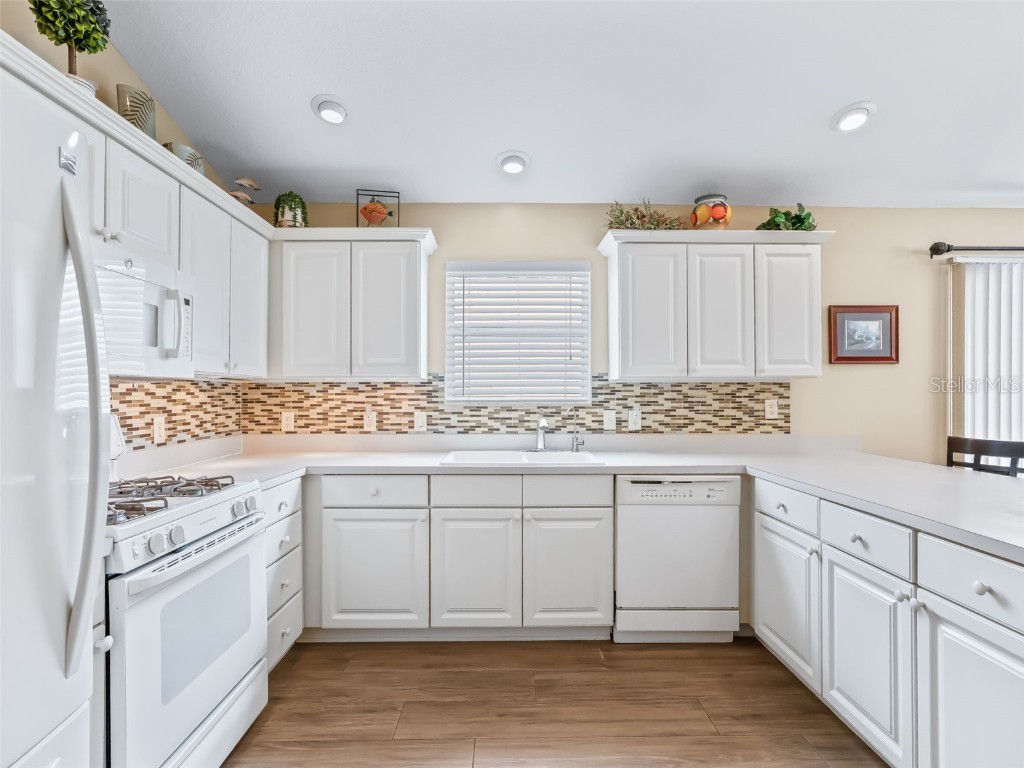 978 Smyrna Street The Villages FL 32162 TB8449535 image8