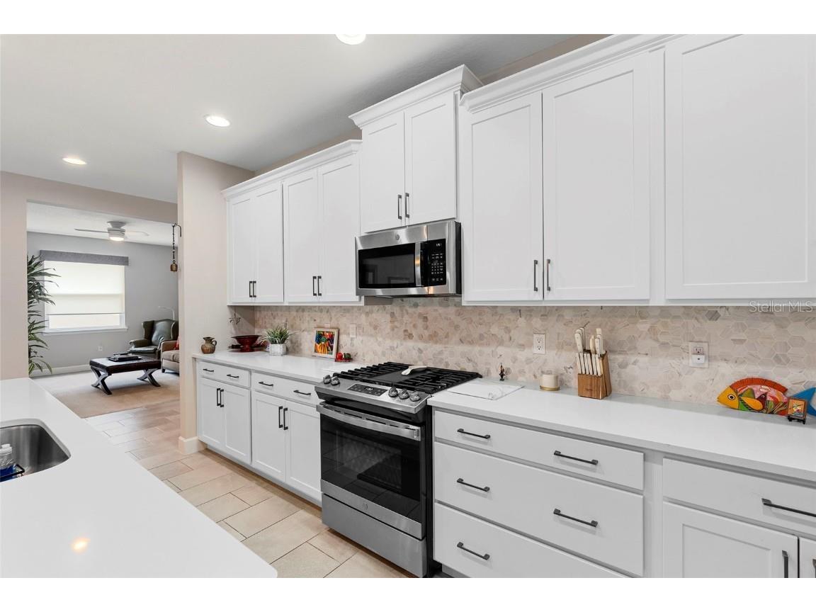 978 Victoria Hills Drive S Deland FL 32724 V4943041 image8