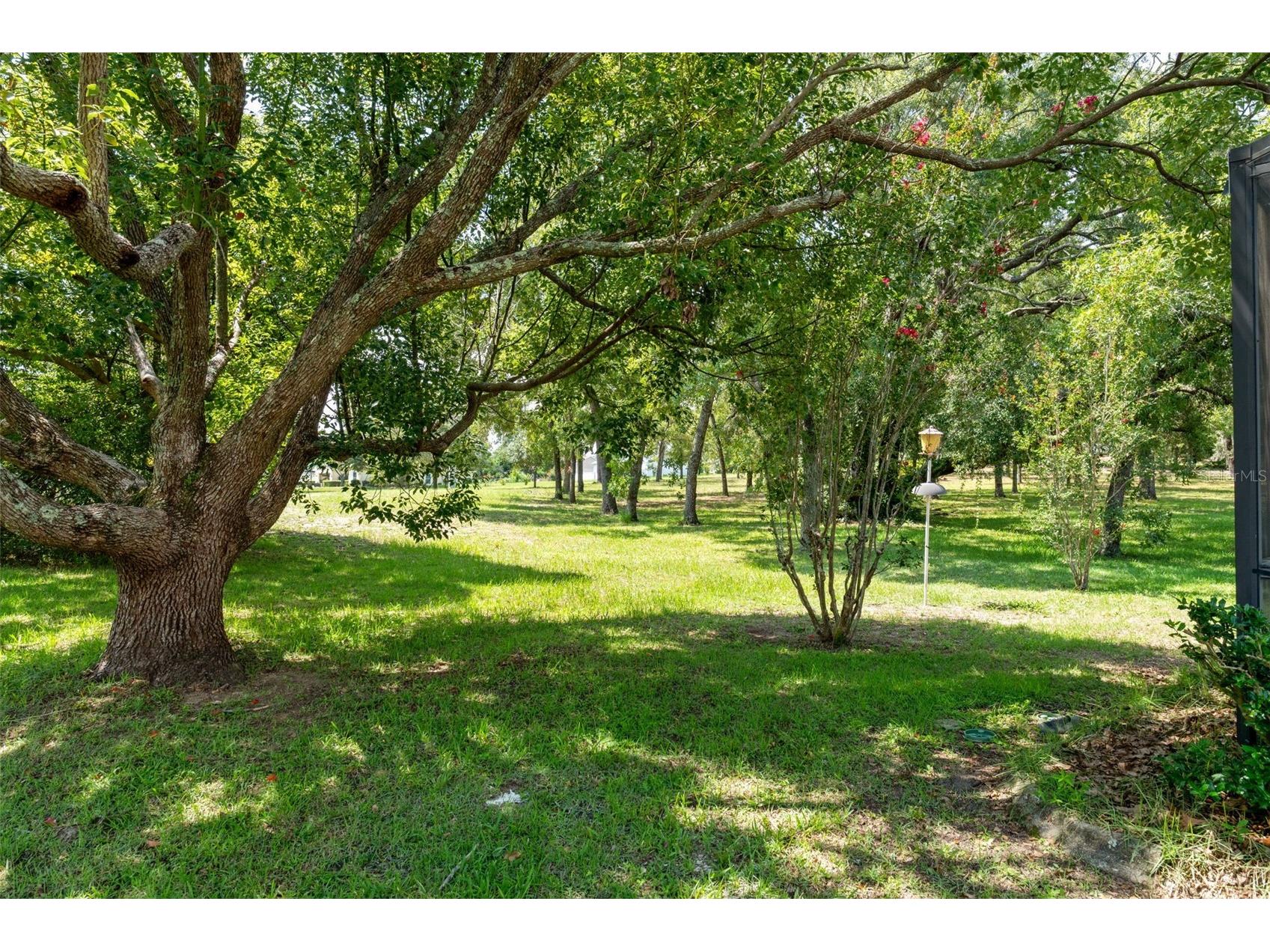 978 W Colbert Court Beverly Hills FL 34465 OM729076 image46