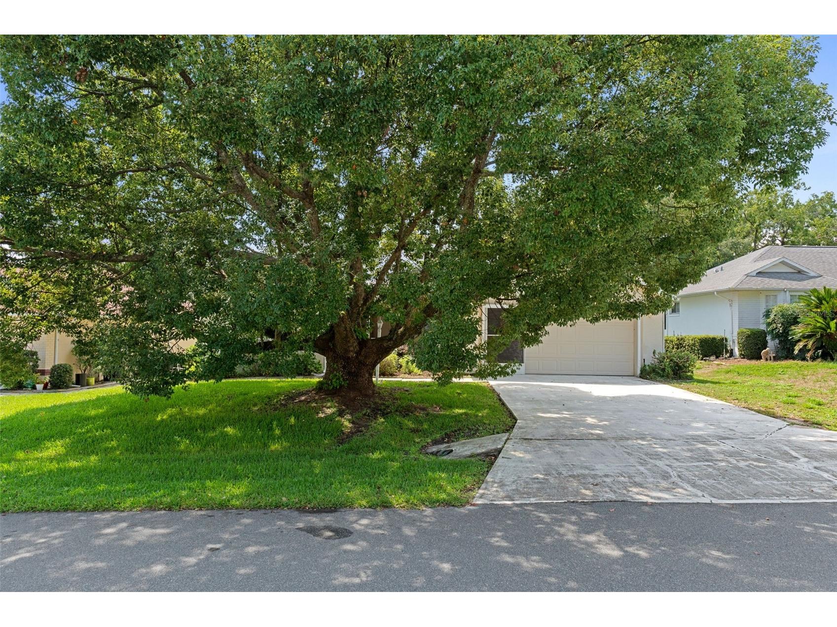 978 W Colbert Court Beverly Hills FL 34465 OM729076 image52