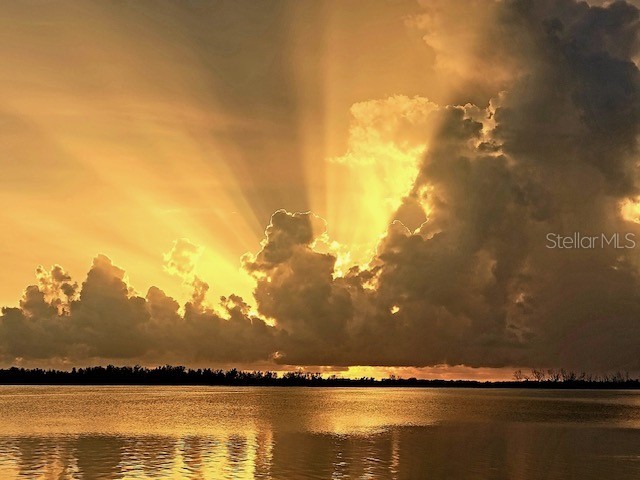 9781 Eagle Preserve Drive Englewood FL 34224 - LEMON BAY D6143228 image67