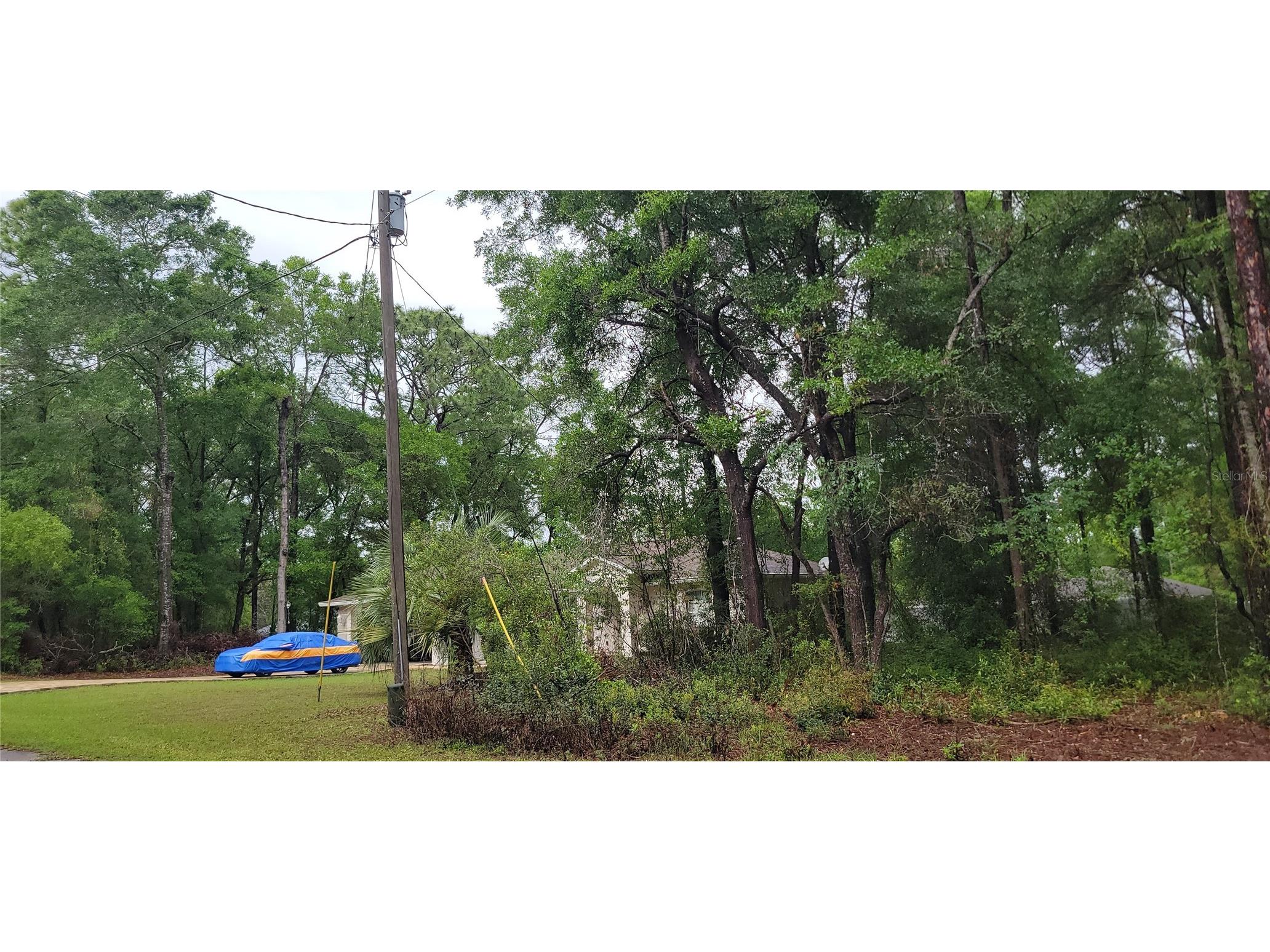 9781 N Loretta Way Citrus Springs FL 34434 OM723843 image3