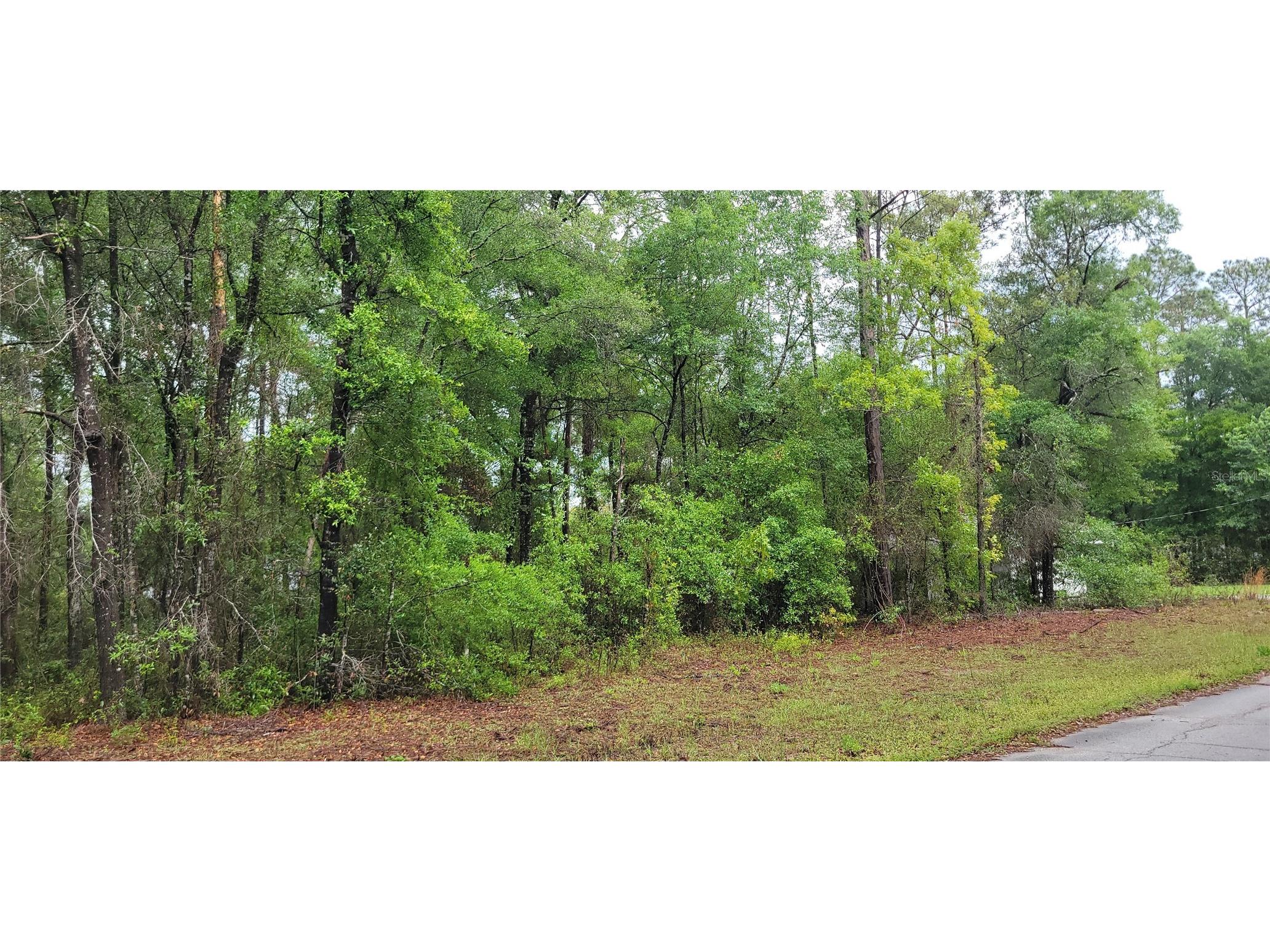 9781 N Loretta Way Citrus Springs FL 34434 OM723843 image4