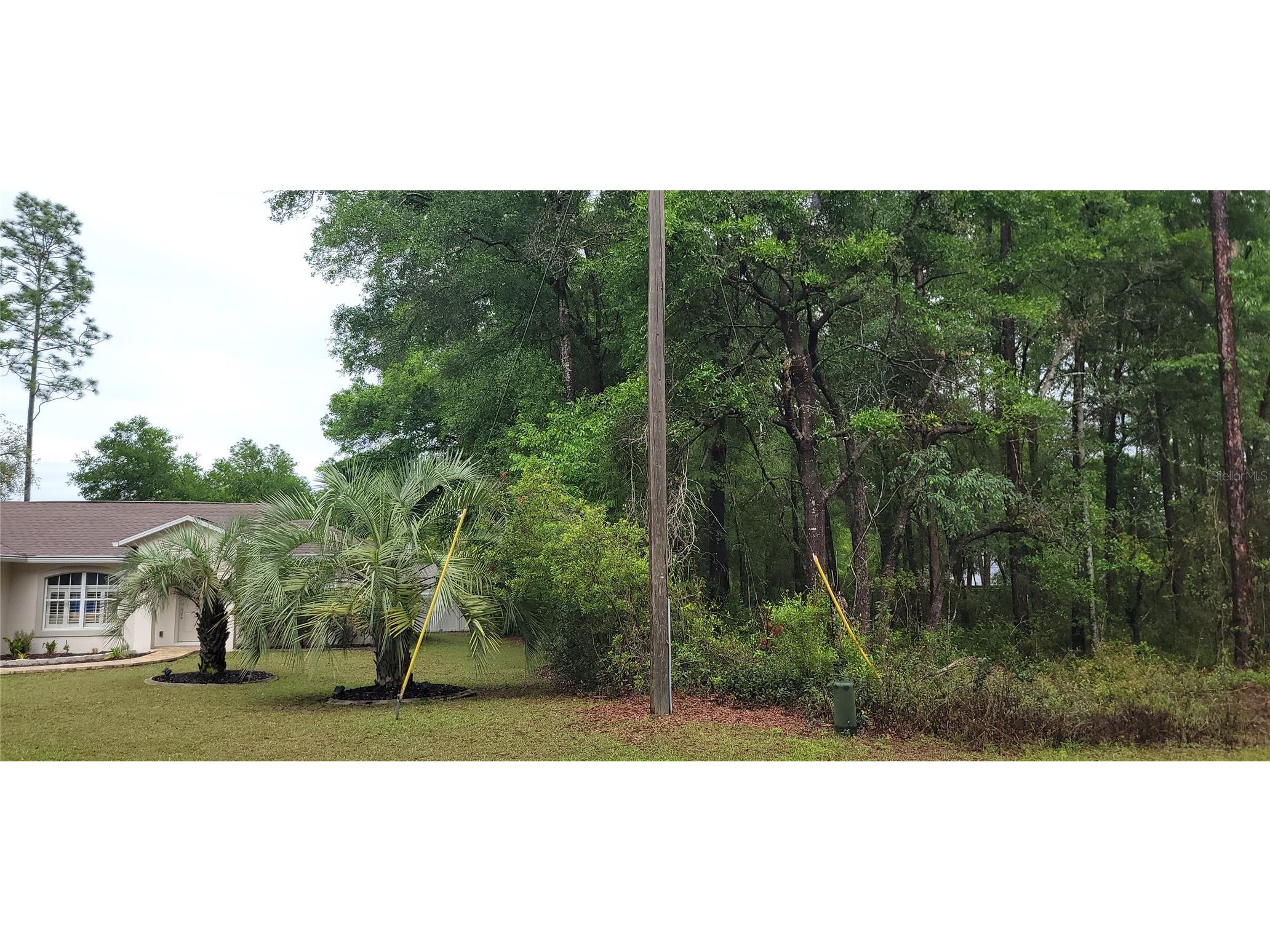 9781 N Loretta Way Citrus Springs FL 34434 OM723843 image5
