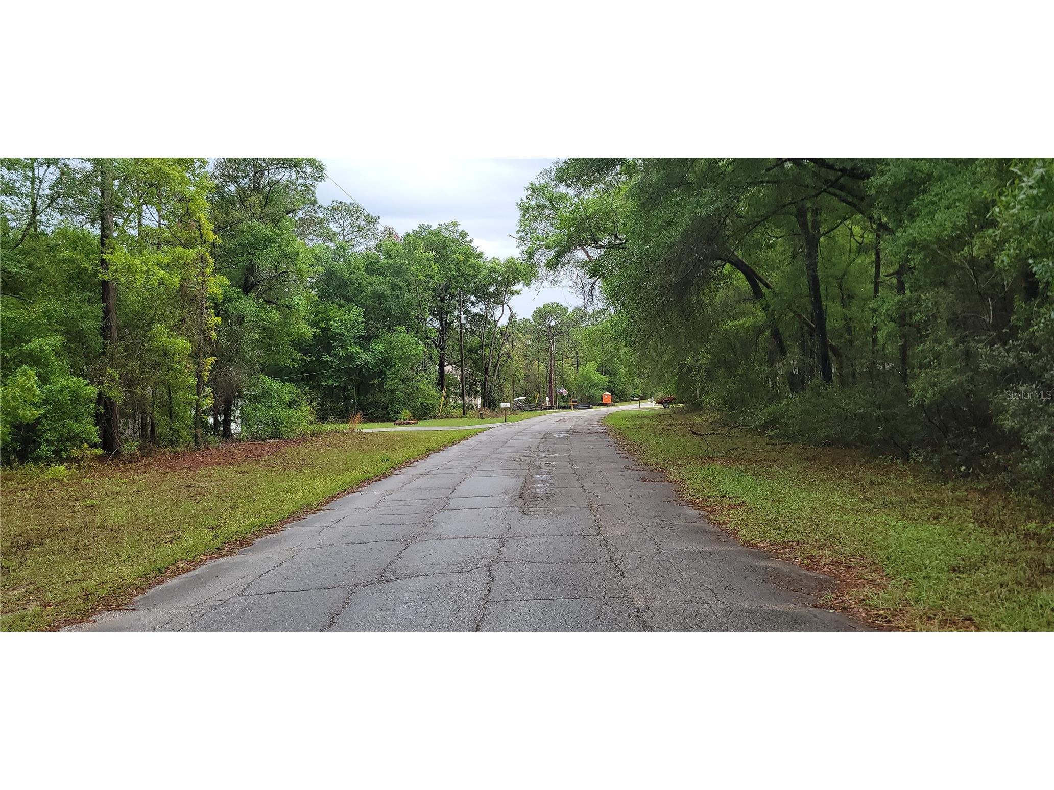 9781 N Loretta Way Citrus Springs FL 34434 OM723843 image6