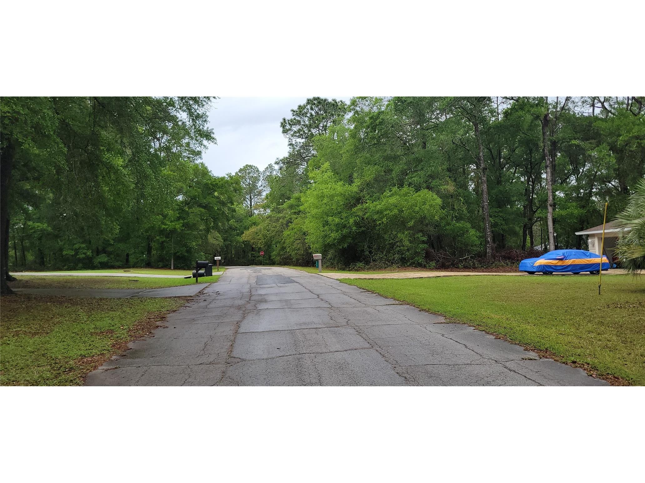 9781 N Loretta Way Citrus Springs FL 34434 OM723843 image7