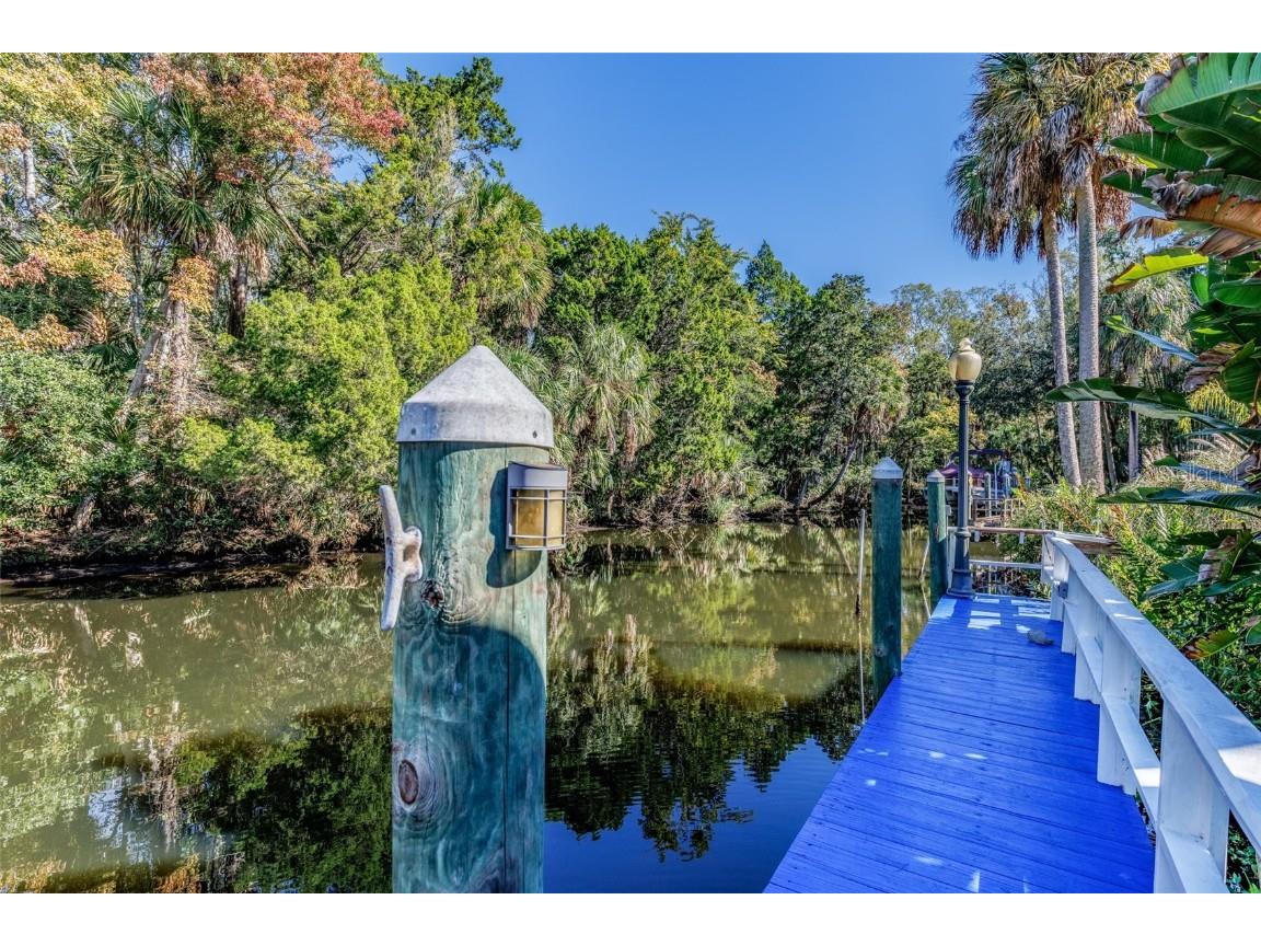 9781 W Halls River Road Homosassa FL 34448 TB8446565 image39