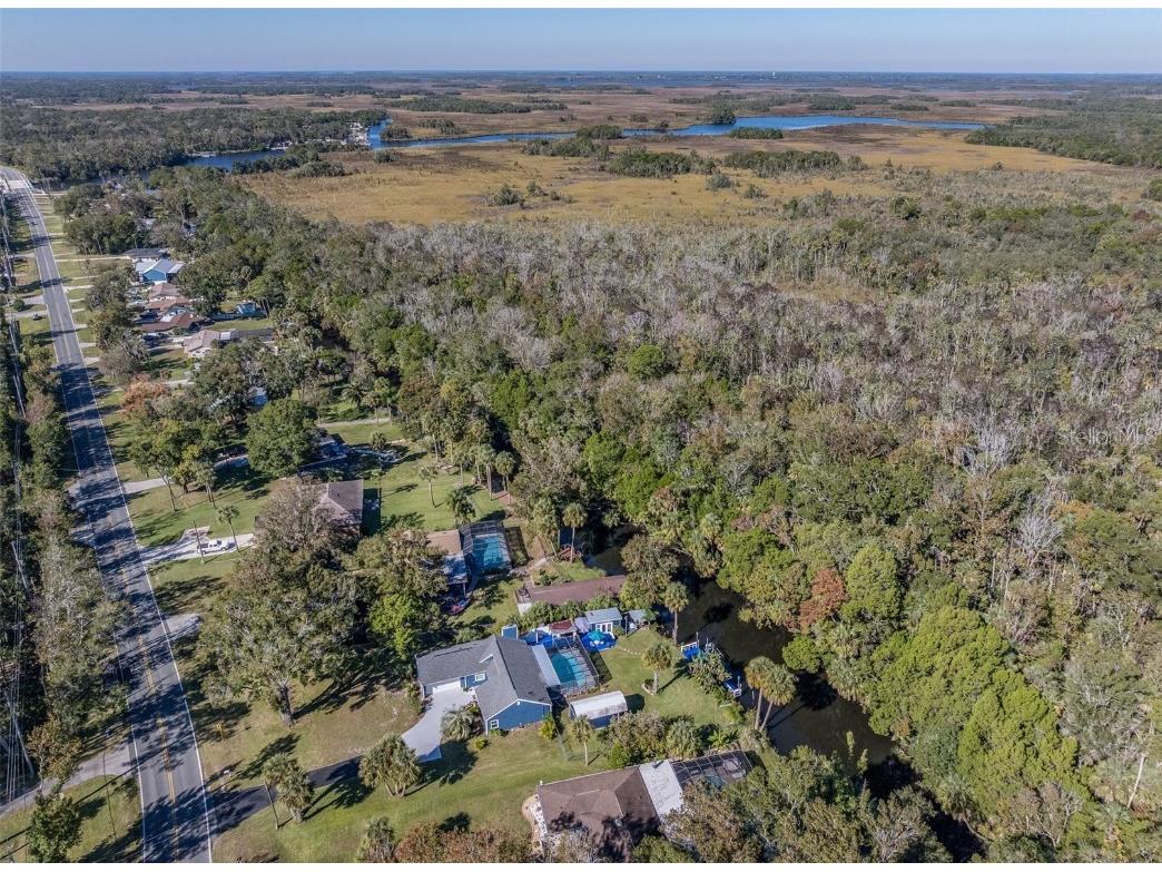 9781 W Halls River Road Homosassa FL 34448 TB8446565 image53