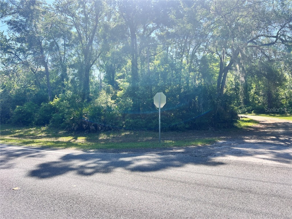 9781 W Pomelo Lane Crystal River FL 34428 OM700342 image1