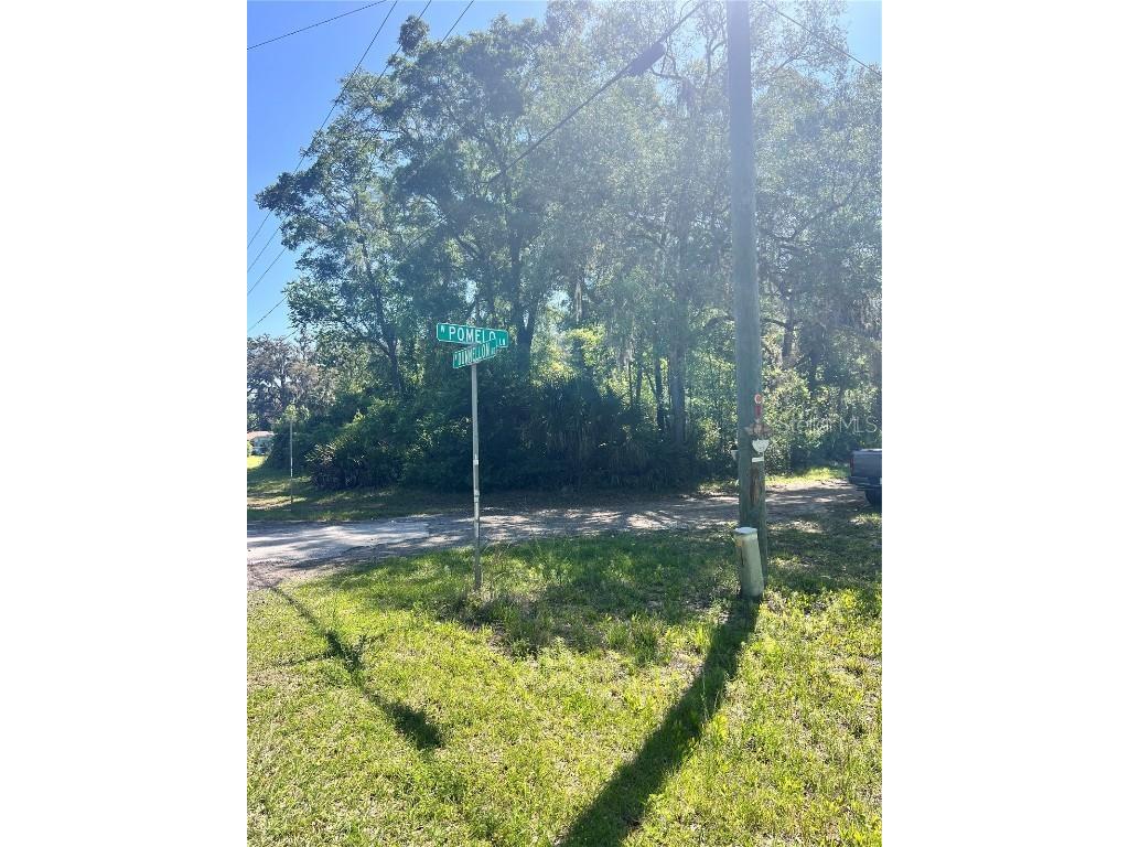 9781 W Pomelo Lane Crystal River FL 34428 OM700342 image2