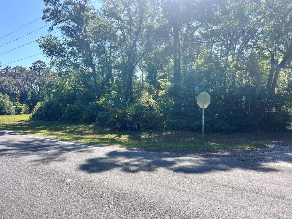 9781 W Pomelo Lane Crystal River FL 34428 OM700342 image3