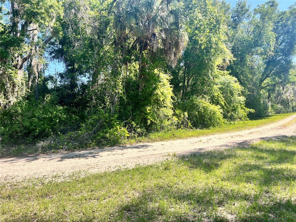 9781 W Pomelo Lane Crystal River FL 34428 OM700342 image4