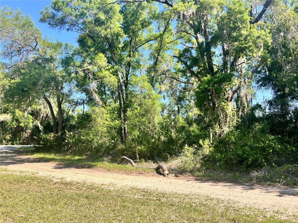 9781 W Pomelo Lane Crystal River FL 34428 OM700342 image5