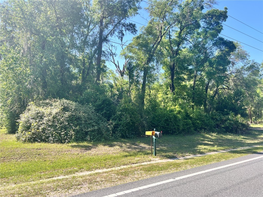 9781 W Pomelo Lane Crystal River FL 34428 OM700342 image6