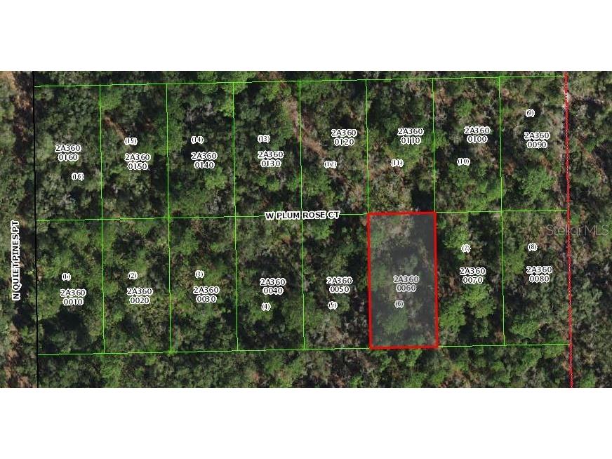 9782 W Plum Rose Court Crystal River FL 34429 A4655013 image1