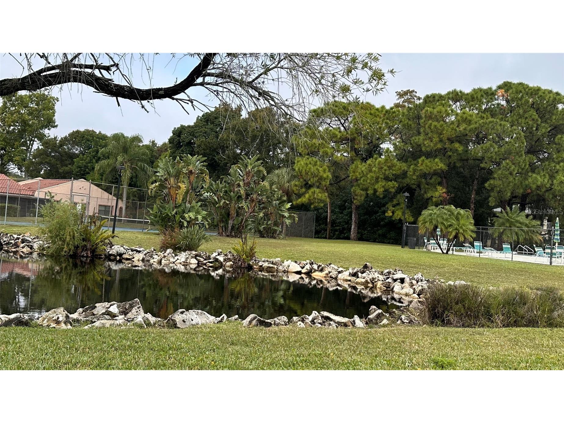9783 86th Avenue Seminole FL 33777 TB8454587 image49