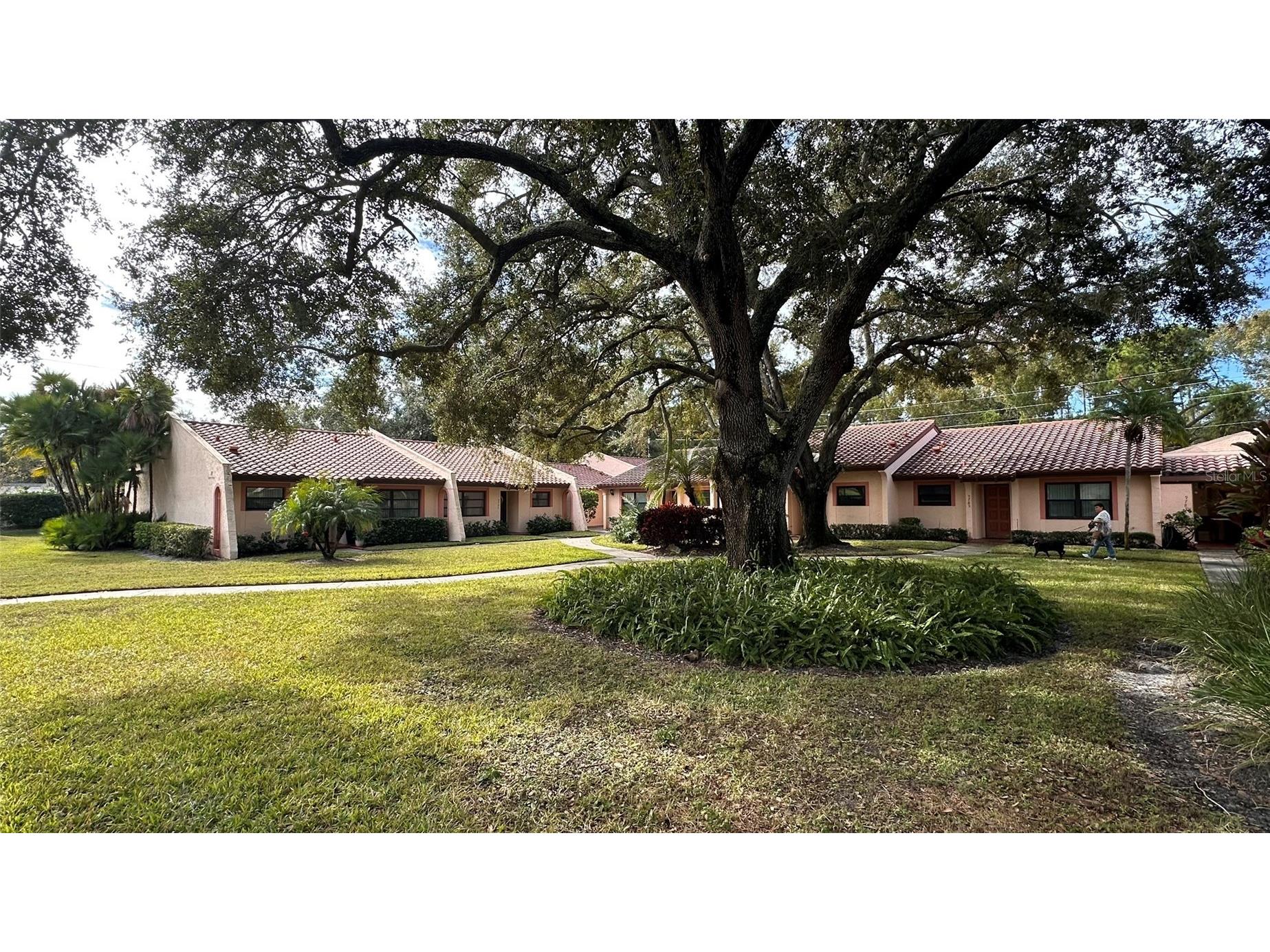 9783 86th Avenue Seminole FL 33777 TB8454587 image5
