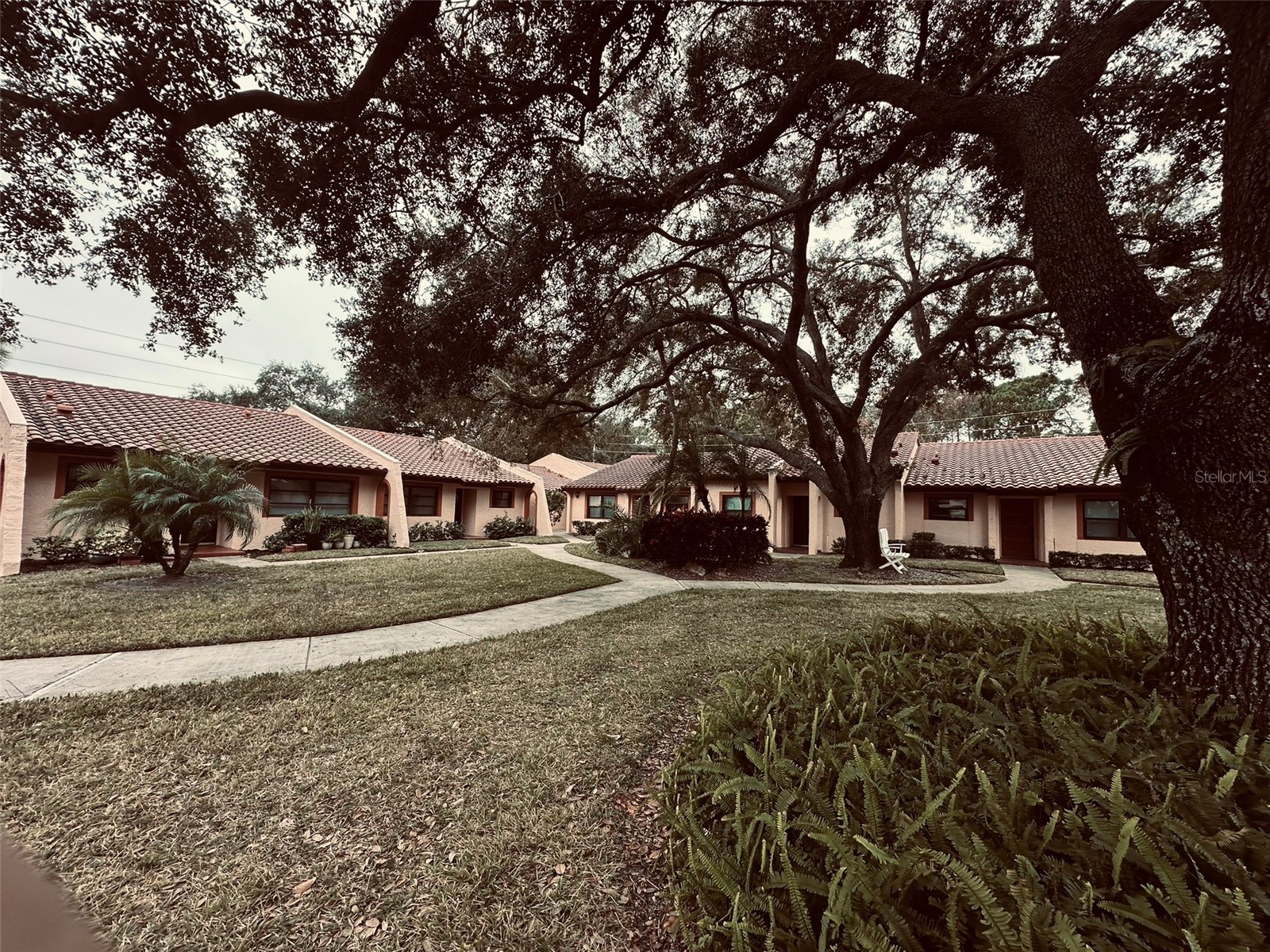 9783 86th Avenue Seminole FL 33777 TB8454587 image54
