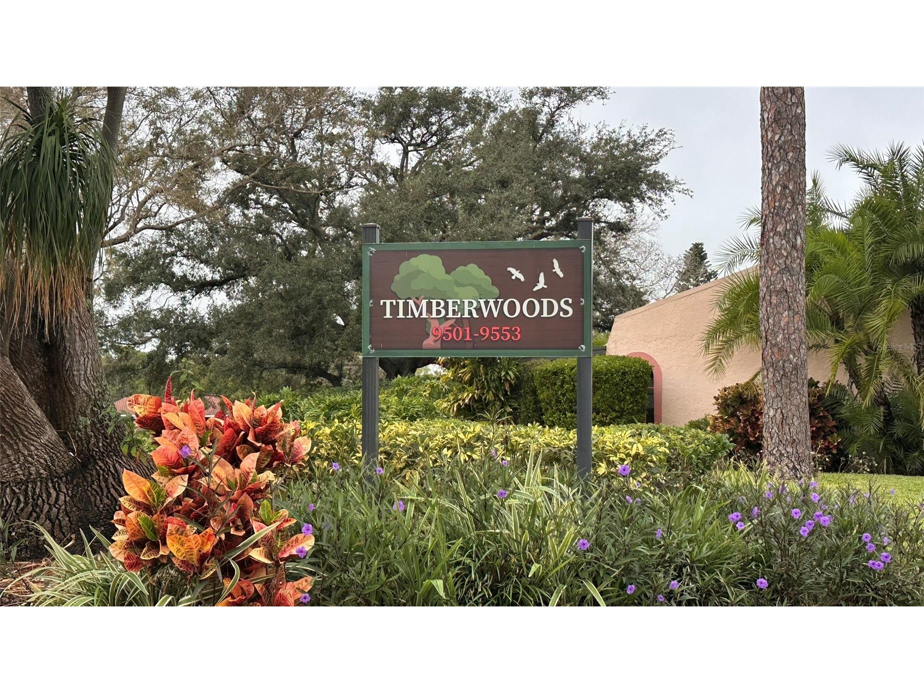 9783 86th Avenue Seminole FL 33777 TB8454587 image6