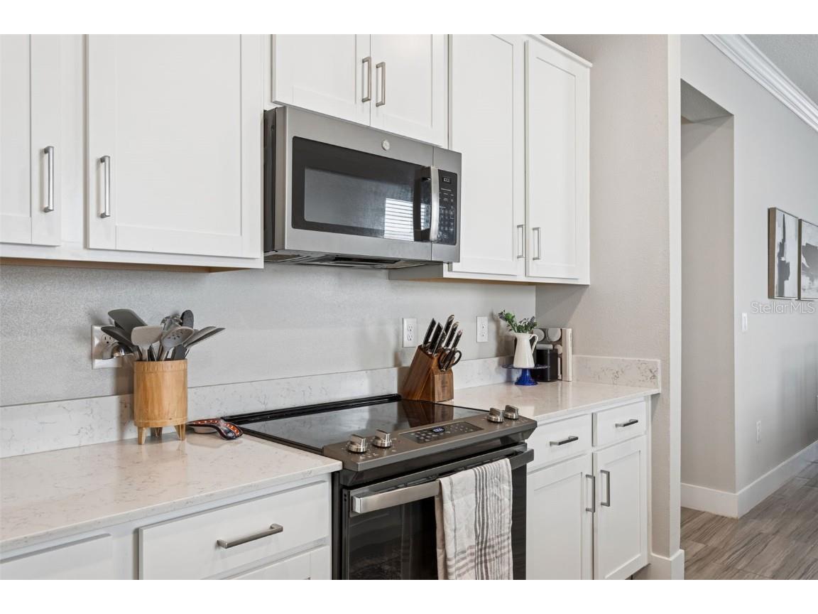 9783 Wild Begonia Loop Land O Lakes FL 34637 TB8459059 image10