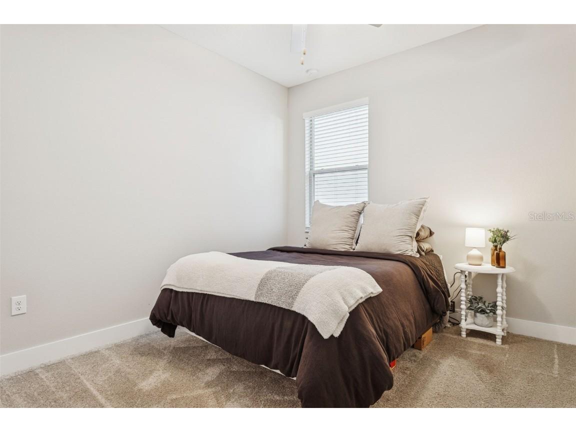 9783 Wild Begonia Loop Land O Lakes FL 34637 TB8459059 image15